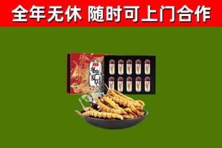 怀化回收冬虫夏草价格